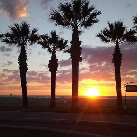 B&B Hibiscus Porto SantʼElpidio Εξωτερικό φωτογραφία