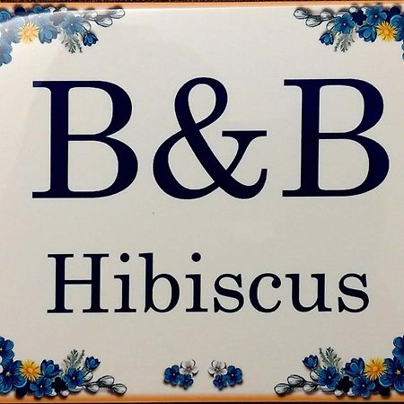 B&B Hibiscus Porto SantʼElpidio Εξωτερικό φωτογραφία